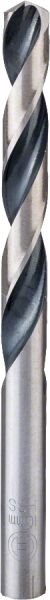 Bosch Hss-Poınttec 10.0 Mm 10Lu Paket 2608577268