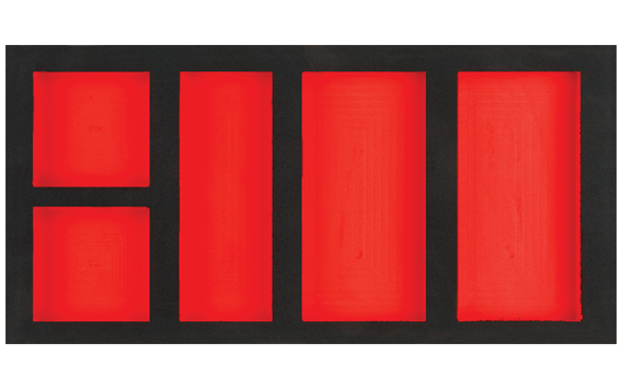 Ceta Form 5 Bölmeli Boş Eva Modül - AE00