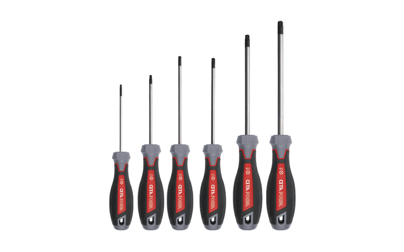 Ceta Form 6 Parça C-Plus Tornavida Takımı - Delikli TORX  - F99-606