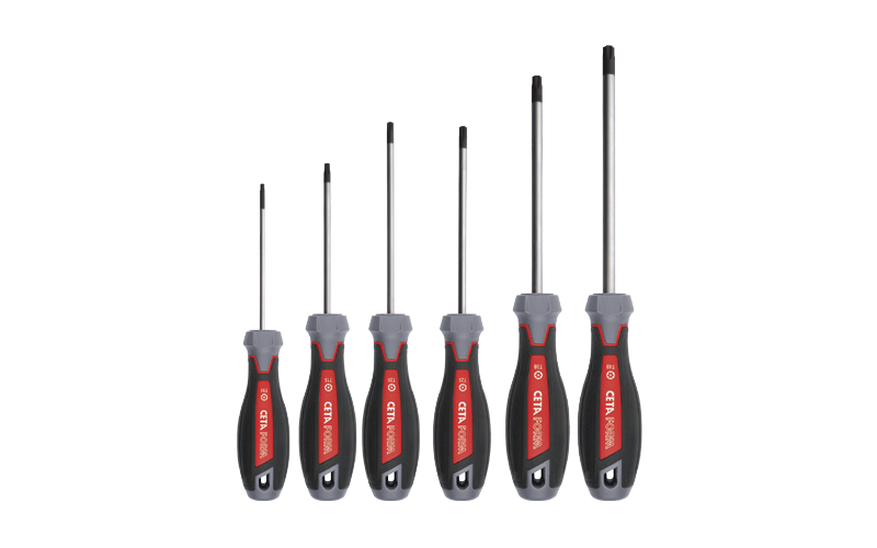 Ceta Form 6 Parça C-Plus Tornavida Takımı - Delikli TORX  - F99-606