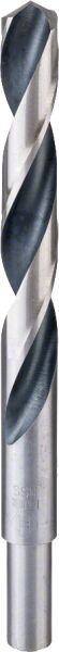 Bosch Hss-Poınttec 15.0 Mm 2608577308