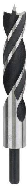 Bosch - Ahşap Matkap Ucu 22*210 mm