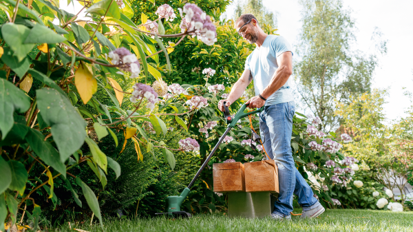 Bosch Easygrasscut 23 Kenar Kesme Makinesi - 06008C1H01