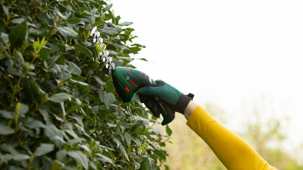 Bosch ISIO 3 Çim ve Topiari Makası - 0600833108