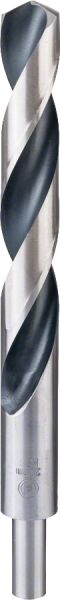 Bosch Hsspoıntteq Metal Matkap Ucu 20,0Mm 1 Lı 2608577315