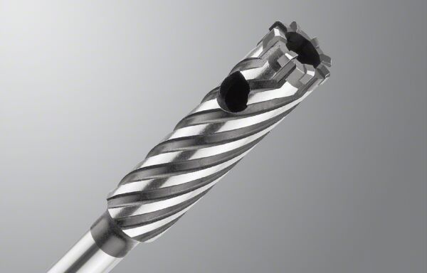 Bosch - Plus-9 Serisi, Donatı Kesici Rebar Cutter Kırıcı Delici Matkap Ucu 18*300 mm