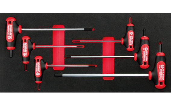 Ceta Form 6 Parça T Saplı Allen Anahtar Takımı (EVA'lı) - K99-10-E06