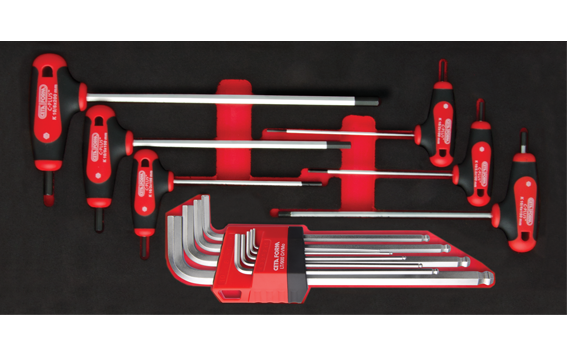 Ceta Form 15 Parça T Saplı ve L Topbaşlı Allen Anahtar Seti (EVA'lı) - K99-10-E15