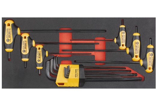 Ceta Form 15 Parça T Saplı ve L Topbaşlı Allen Anahtar Seti (SAE) (EVA'lı) - K99-10A-E15