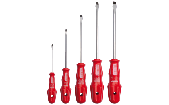 Ceta Form 5 Parça TOREX Tornavida Takımı - Düz - 4000M/5ST3