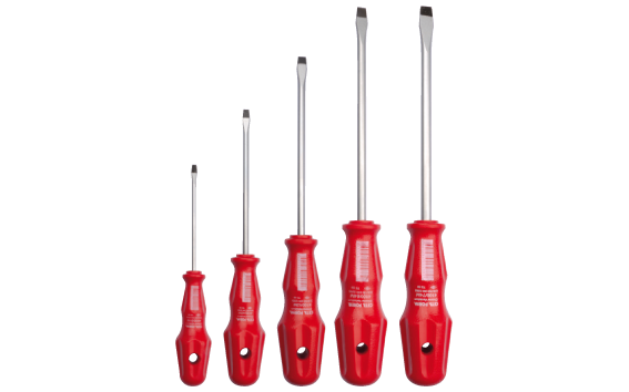 Ceta Form 5 Parça TOREX Tornavida Takımı - Düz - 4000M/5ST3