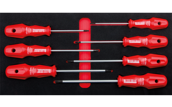 Ceta Form 7 Parça TOREX Torx Tornavida Takımı (EVA'lı) - 4400M-E701