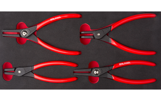 Ceta Form 4 Parça Segman Pensesi Takımı (EVA'lı) - E99-44-E0404