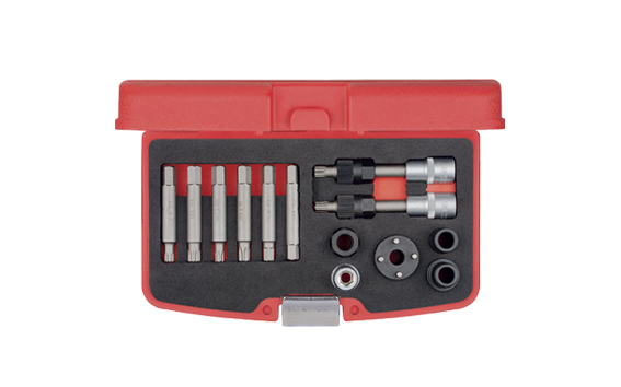 Ceta Form 13 Parça Alternatör Kasnağı Sökme Kiti - N42-01K13