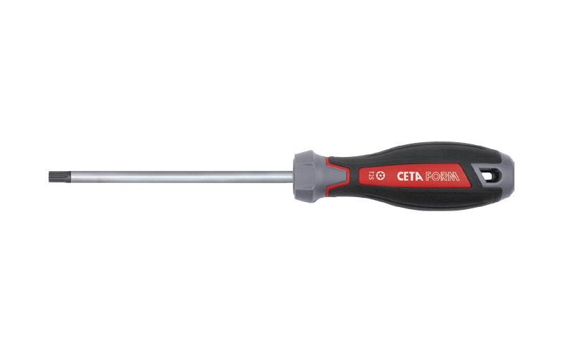 Ceta Form C-Plus Delikli Torx Uçlu Tornavida T30 x 115 mm - F19-030-115