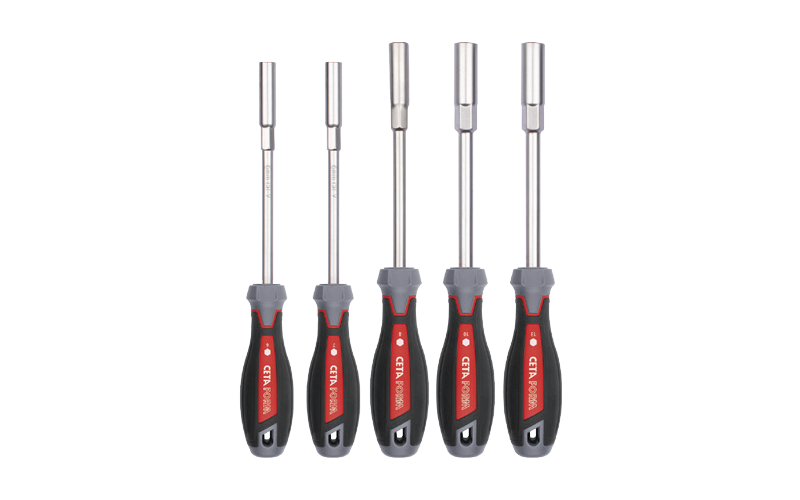 Ceta Form 5 Parça C-Plus Lokma Uçlu Tornavida Takımı - F20-B05