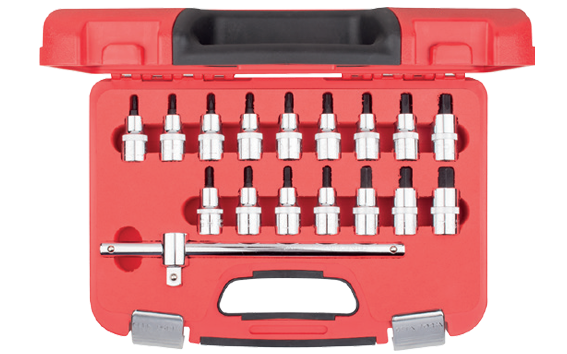 Ceta Form 17 Parça 1/2'' Torx ve Allen Uçlu Lokma Takımı - C28S-17PTH