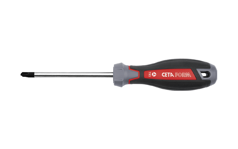 Ceta Form C-Plus TRI-WING Uçlu Tornavida TW5 x 100 mm - F25-005-100